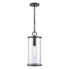 ELK Home Plus 89495/1 - Hopkins 7.25'' Wide 1-Light Outdoor Hanging Light - Charcoal Black