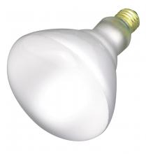 Flood Bulbs