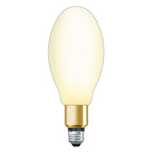 LEDVANCE LLC LED26ED28/UNVFR840/MED/41919 - LED26ED28UNVFR840MED 6/CS 1/SKU