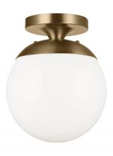 Studio Co. VC 7518EN3-848 - Leo - Hanging Globe One Light Wall / Ceiling Semi-Flush Mount